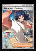 Black Belt’s Training - Ascended Heroes #256